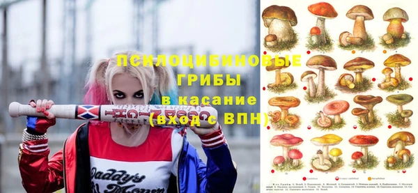 ECSTASY Алексеевка
