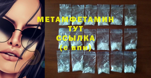 крисы Абаза