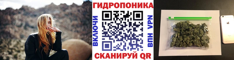 Конопля сатива  цены   Дзержинск 